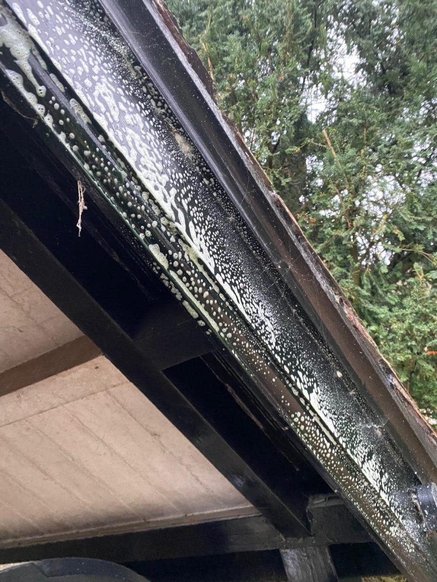 Complete property cleaning and maintenance