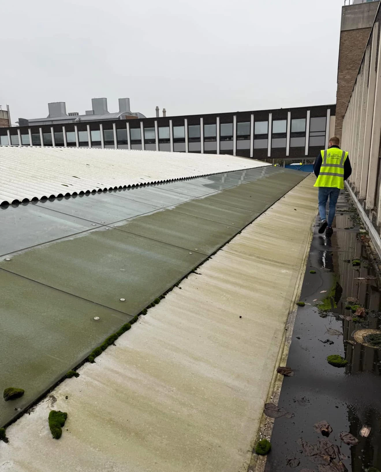Glass roof panels covered in moss and dirt before cleaning