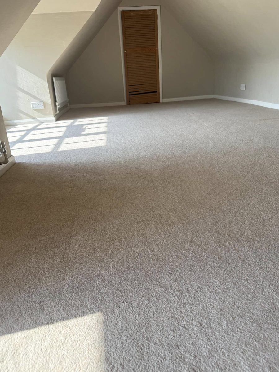 Freshly cleaned carpet in a bright room